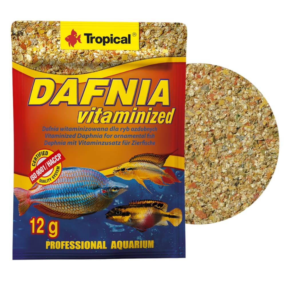 dafnia vit 3.jpg